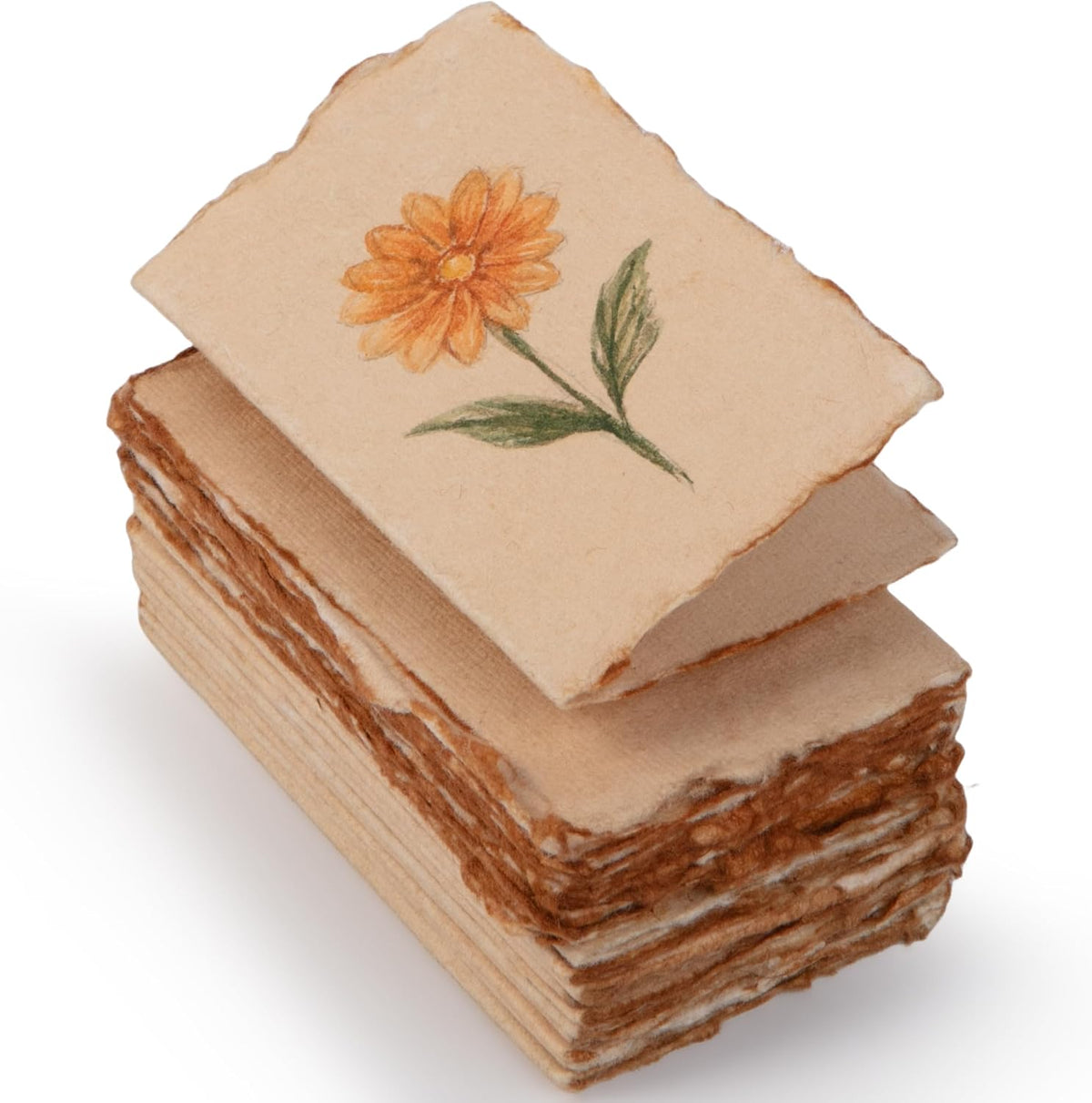 Wanderings Vintage Deckle Edge Paper
